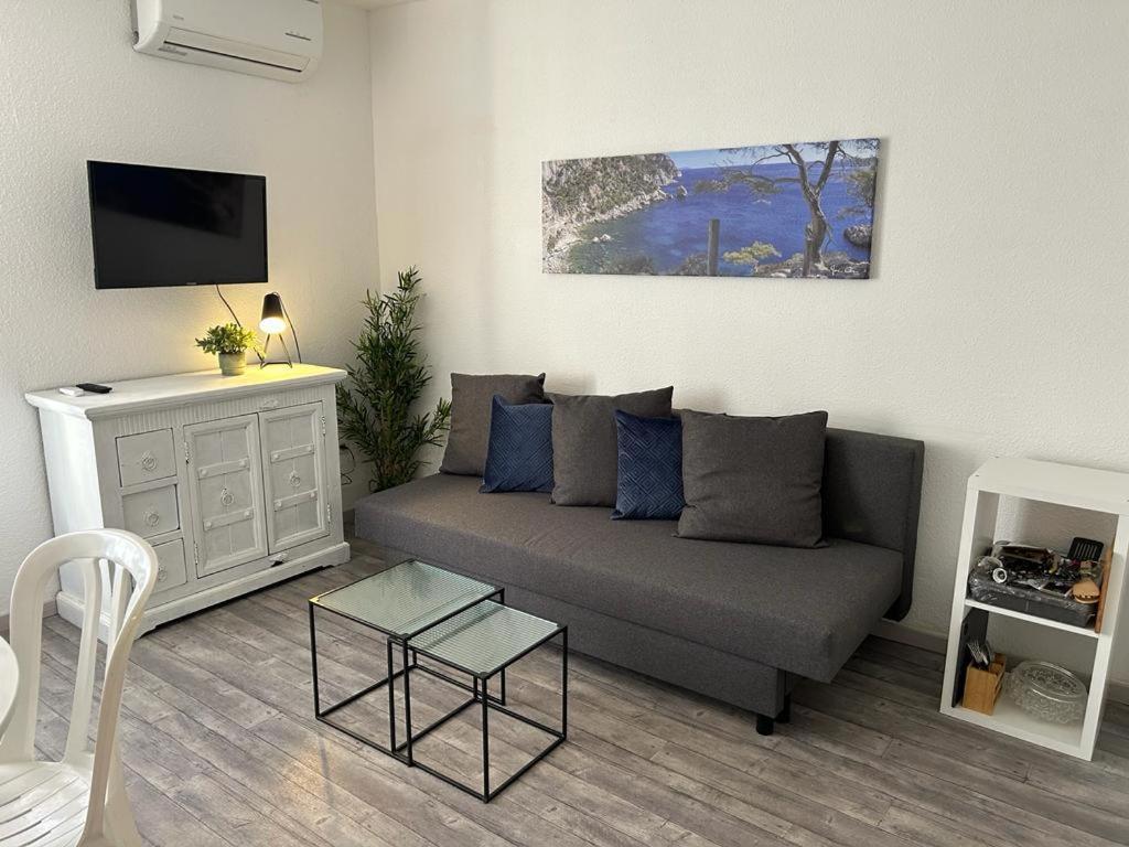 Studio Meuble Bord De Mer Bormes-les-Mimosas Dış mekan fotoğraf